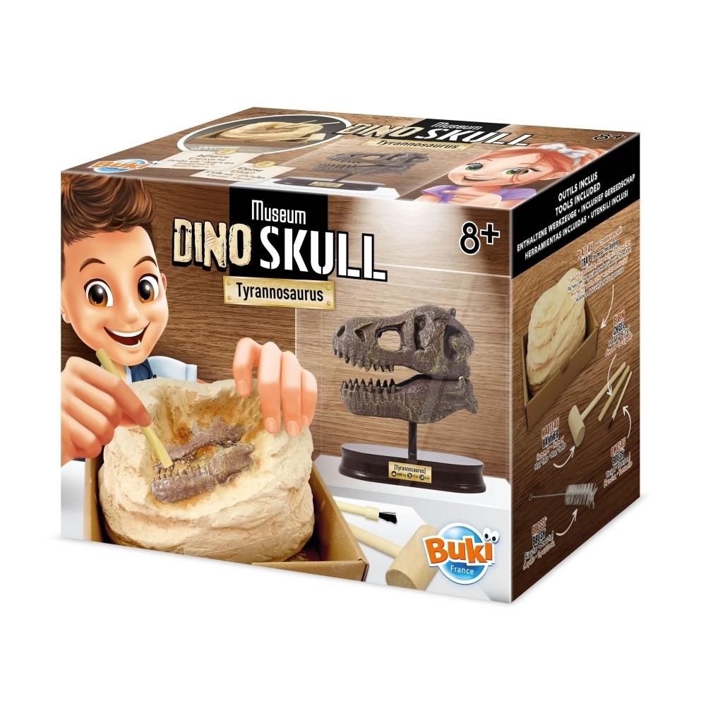 Buki Tyrannosaurus koponya felfedező készlet