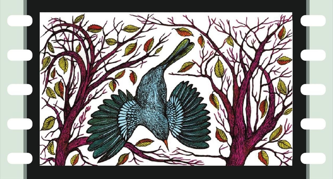 Diafilm: A cinege cipője