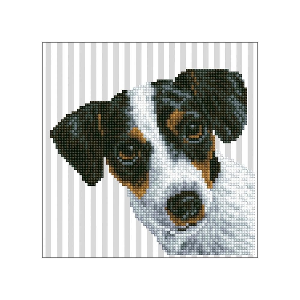 Diamond Dotz gyémántszemes kirakó szett, kezdő - Kutya