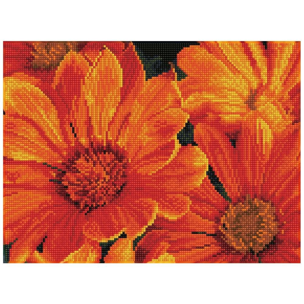 Diamond Dotz gyémántszemes kirakó szett, középhaladó - Délvirágok