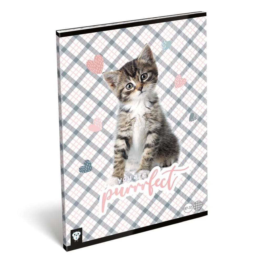 Füzet tűzött A4, kockás - Kis Bagoly, Purrrfect