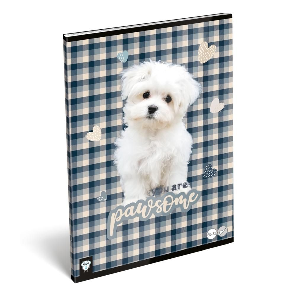 Füzet tűzött A4, sima - Kis Bagoly, Pawsome 