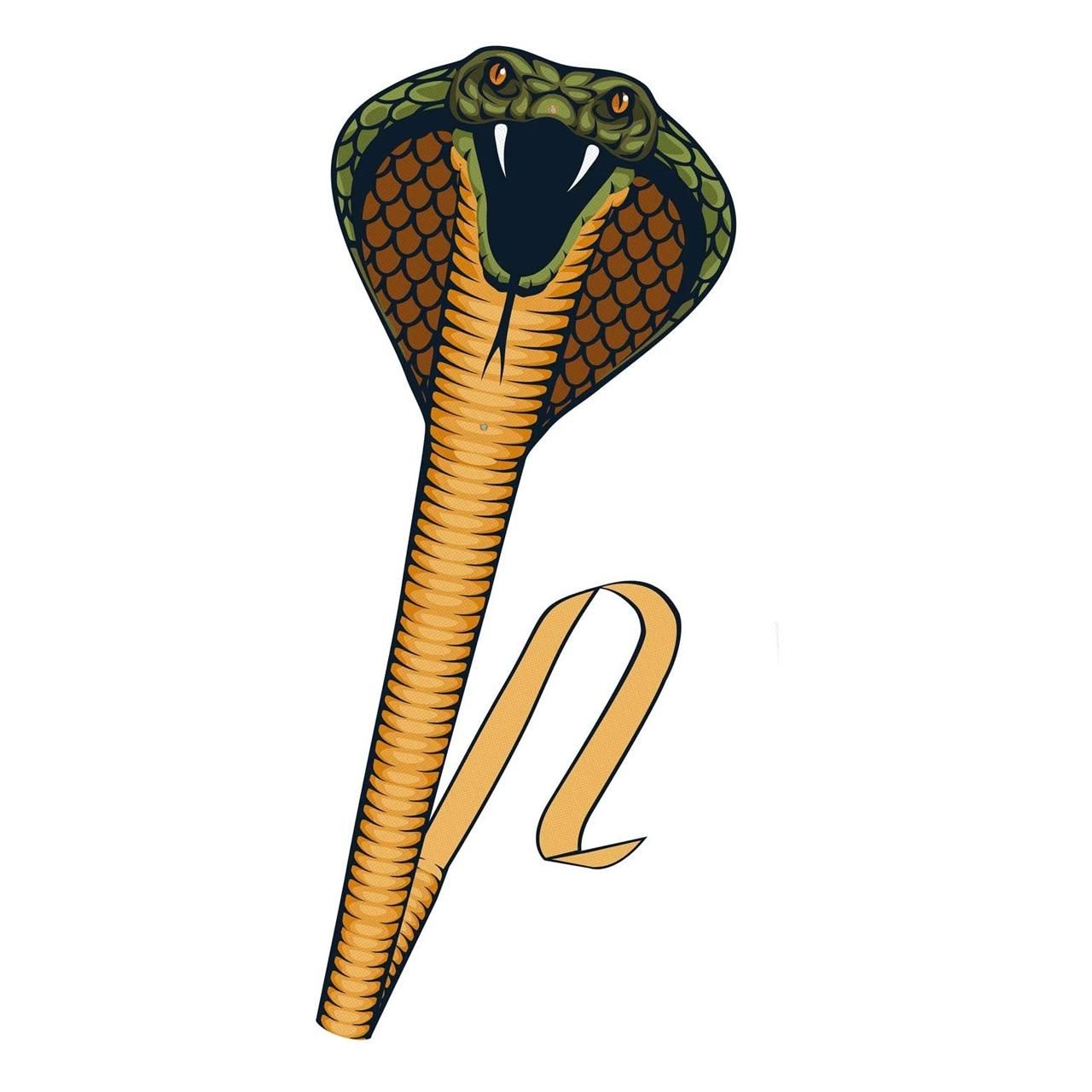 Günther Kobra sárkányrepülő