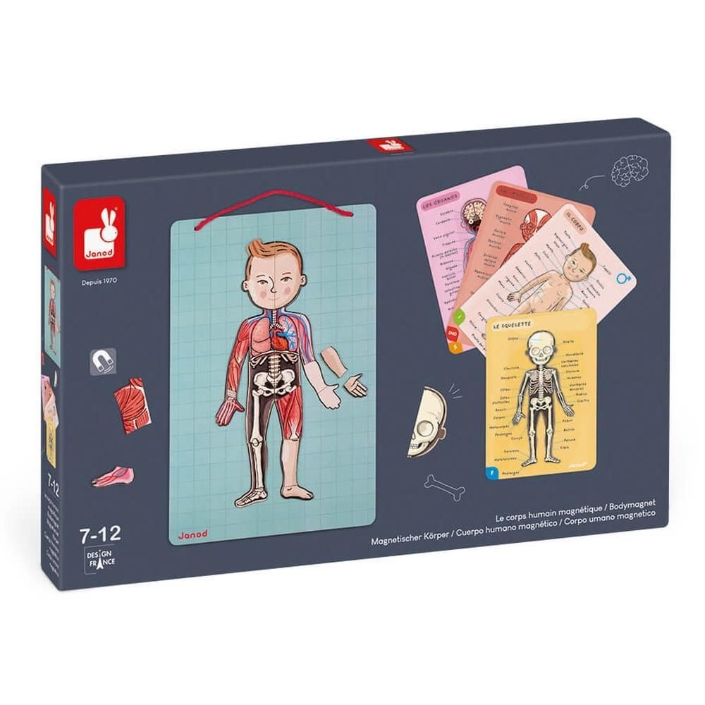 Janod Emberi test-mágneses kirakó
