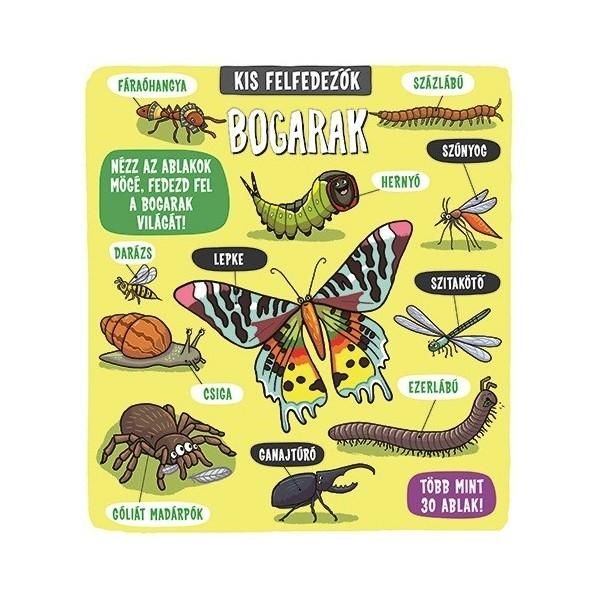 Kis felfedezők - Bogarak