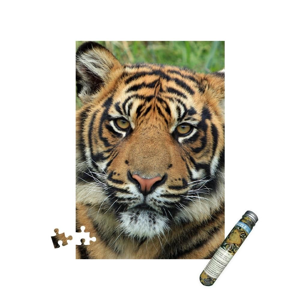 Mini puzzle - tigris, 150 db