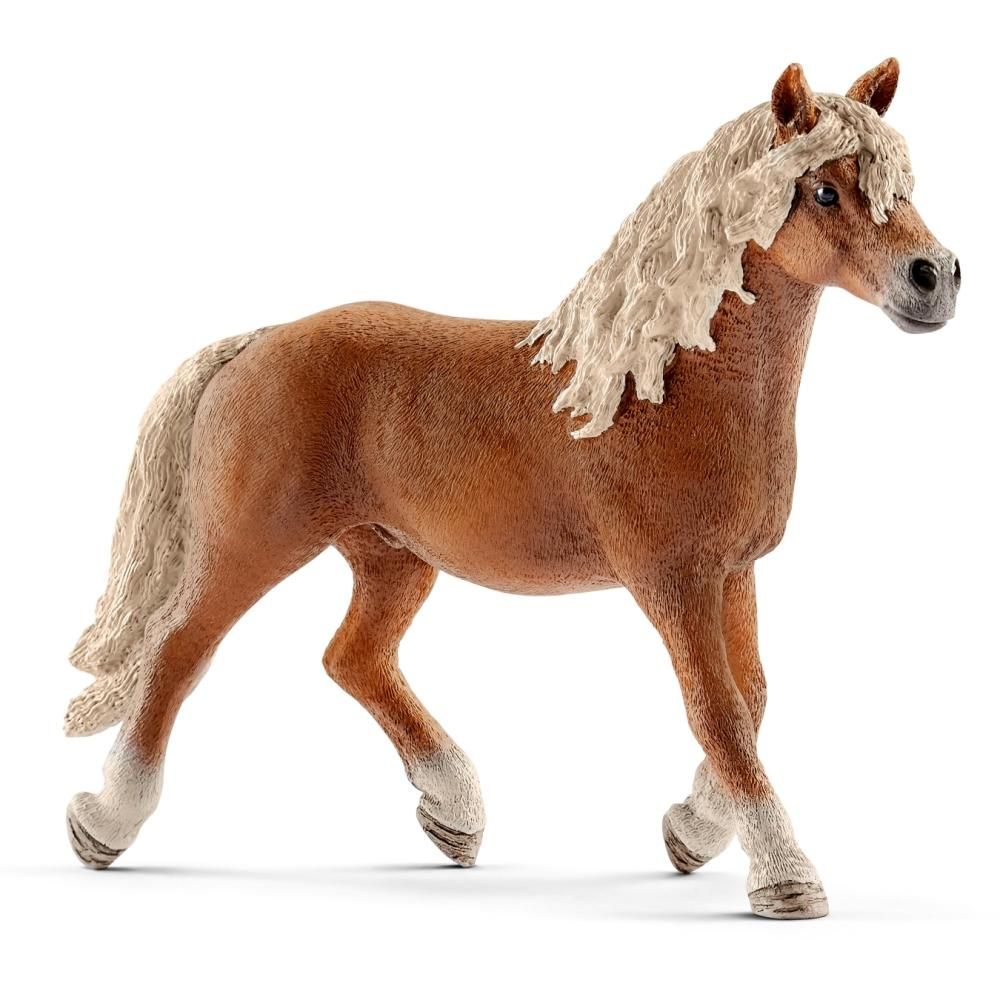 Schleich 13813 Haflingi csődör