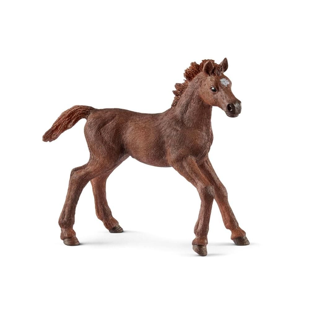 Schleich 13857 Angol telivér csikó