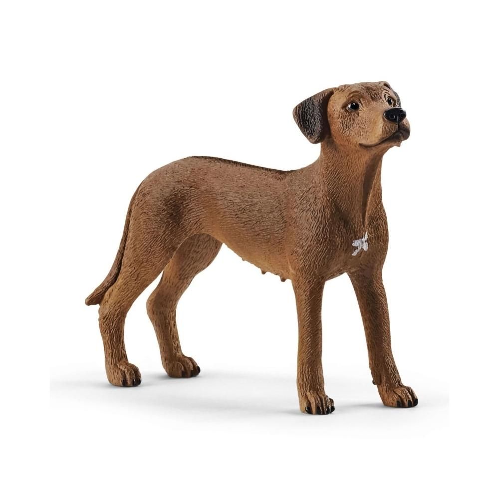 Schleich 13895 Afrikai oroszlánkutya