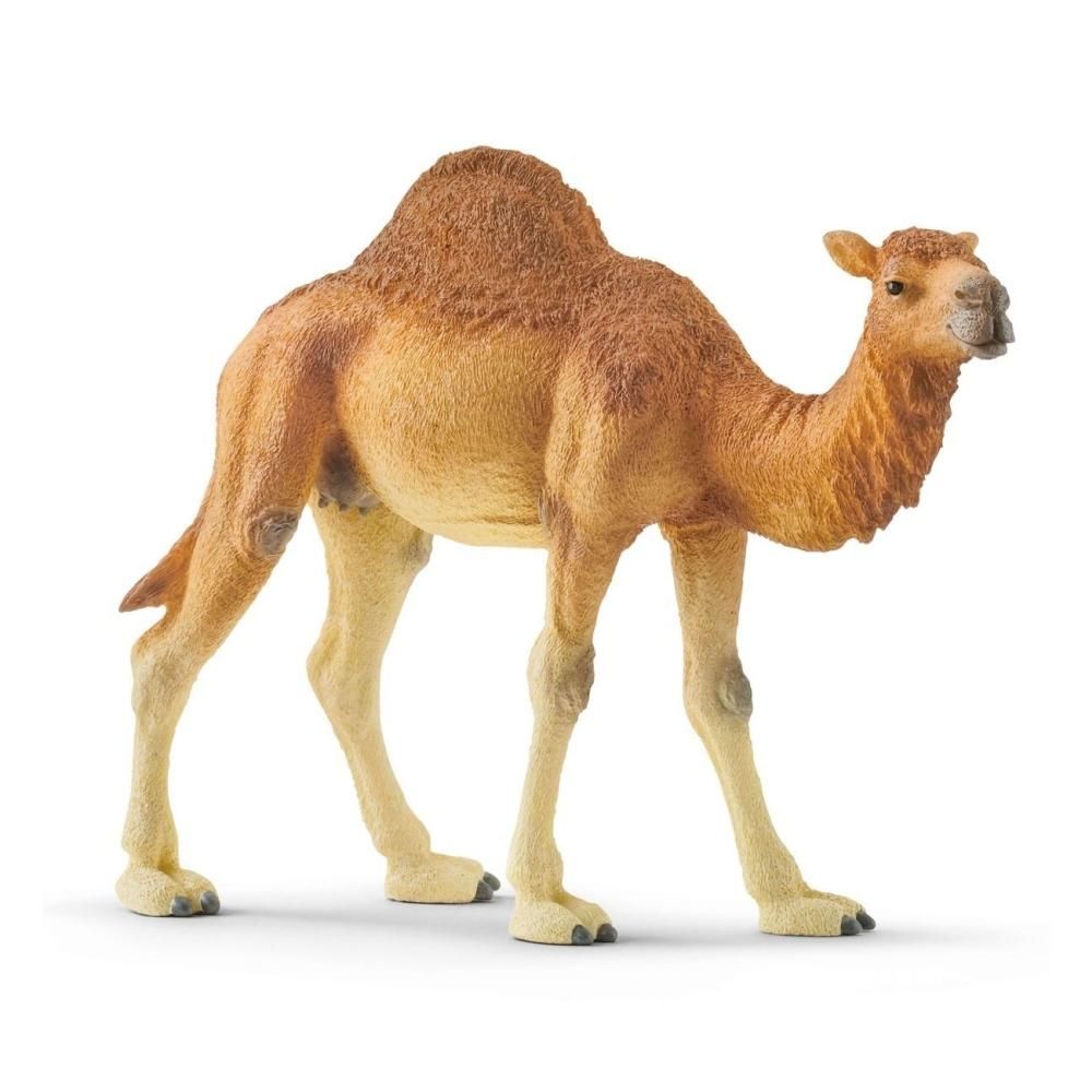 Schleich 14832 Dromedár