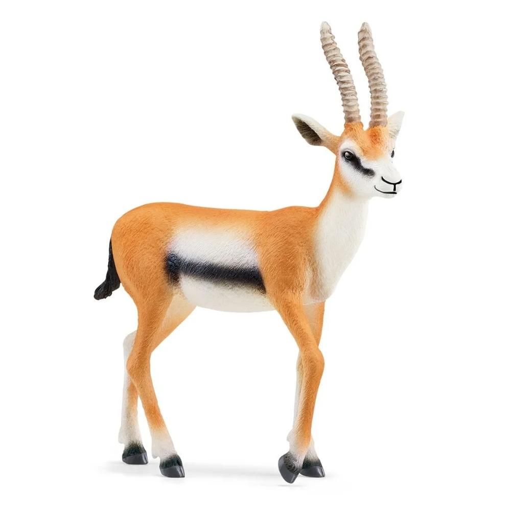 Schleich 14861 Thomson-gazella